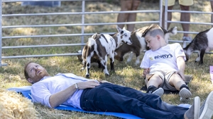Prințul Harry, protagonistul unui moment amuzant în Marea Britanie. O capră l-a lovit în timpul unei sesiuni de yoga