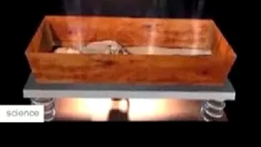 Sicrie ecologice de amidon in Franta