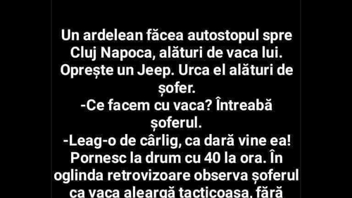 BANC | Un ardelean făcea autostopul spre Cluj-Napoca, alături de vaca lui