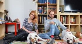 Galerie foto - poza 3