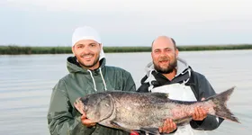 Galerie foto - poza 4