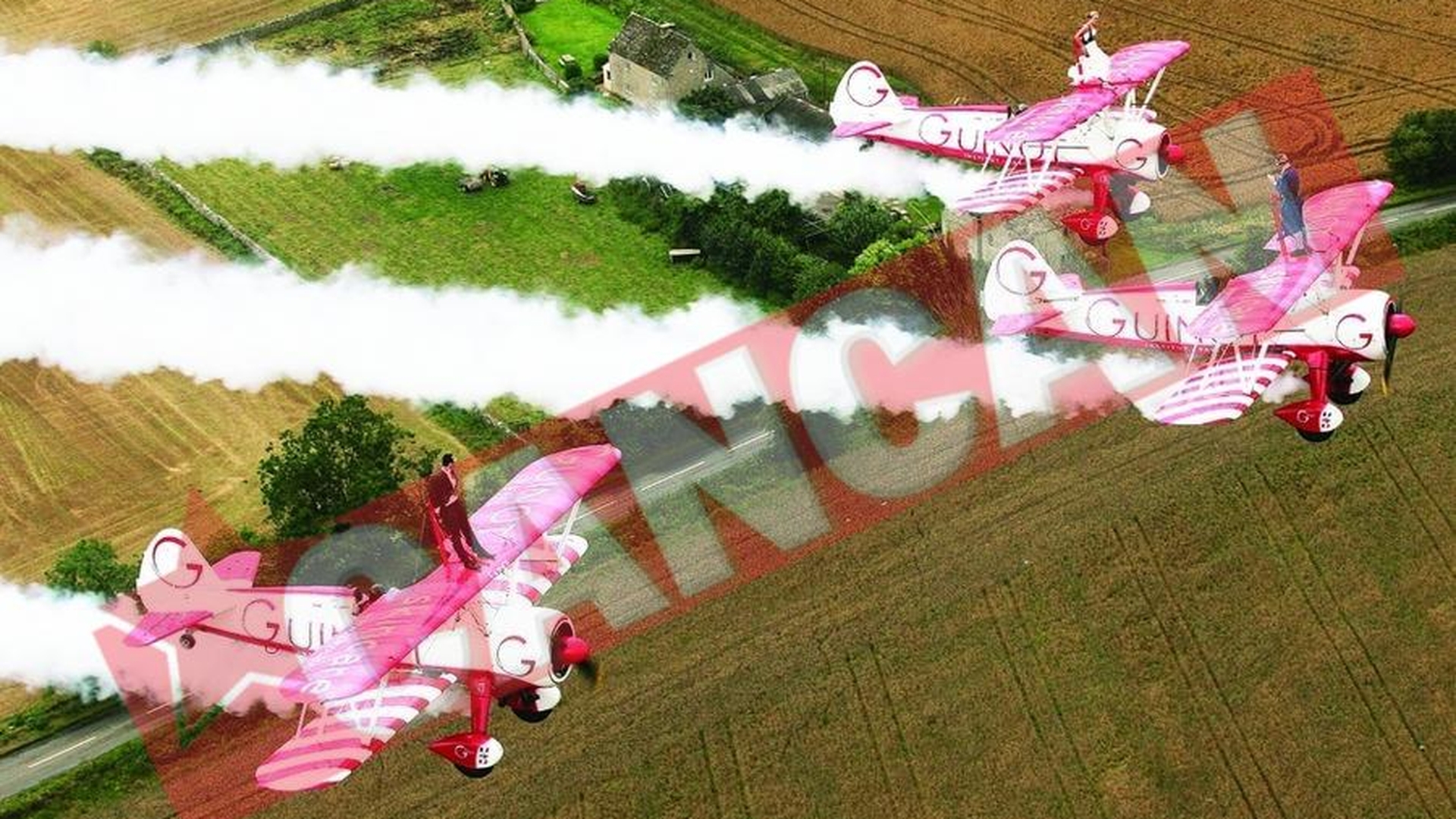 S-au casatorit pe avion