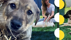 Cum aplică o tânără din Craiova terapia Reiki pe animalele de companie. "Când un câine îți linge mâna, el..."