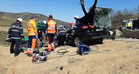 Galerie foto - poza 2