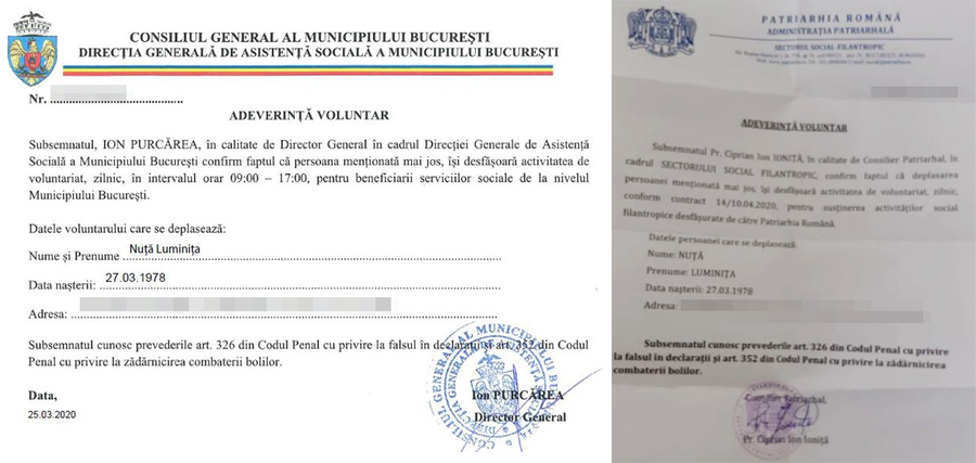 Luminița Nuță