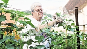 "Mama FNI" s-a instalat definitiv intr-un sat sibian, unde creste gaini si are o gradina-model Vlas si vrejul de fasole