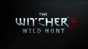 The Witcher 3 ar putea primi un DLC complet nou. Un region nou ar avea perfect sens