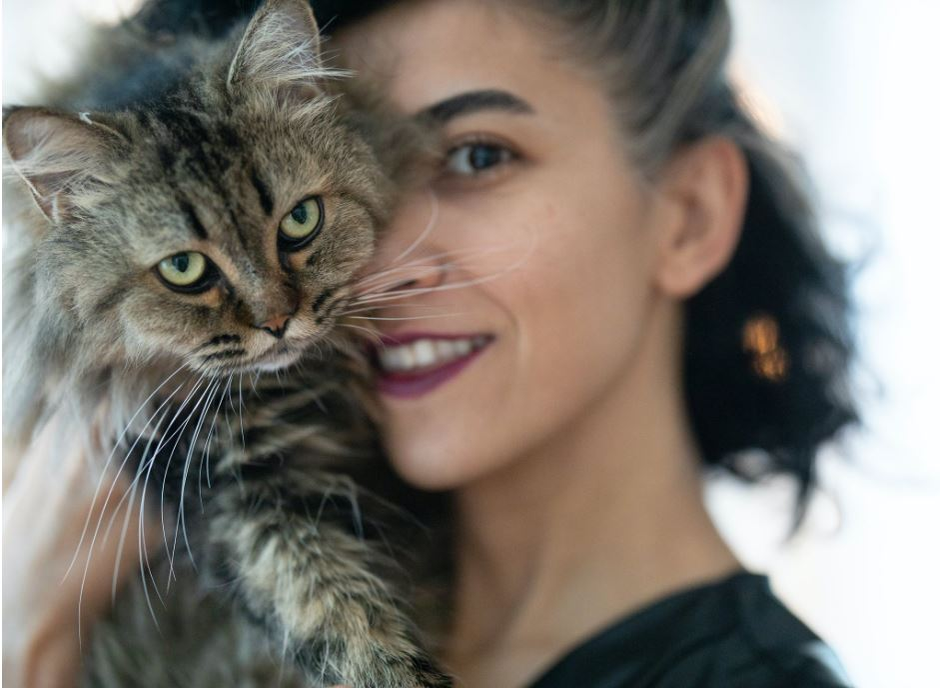 Ce vârstă are pisica ta în ani omenești. Calculul e foarte simplu! Vezi ce vedete preferă micuțele feline și cine a ales să își ia câine
