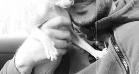 Galerie foto - poza 4