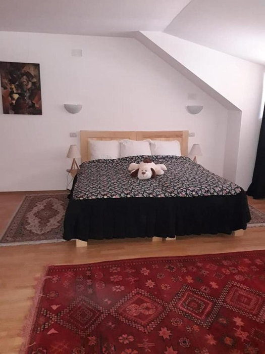 Cât costă o noapte de cazare în hotelul Monicăi Anghel. Foto: booking
