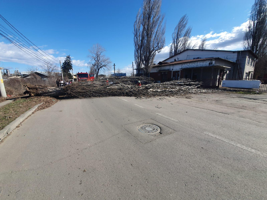 Copacii căzuți au blocat drumurile