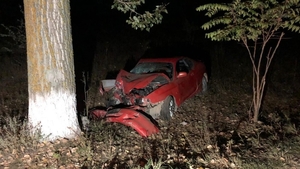 Accident în Constanța! Trei adolescenți au fost răniți grav după ce șoferul a intrat cu mașina într-un copac