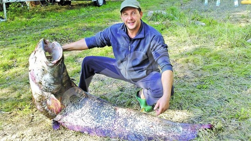 Leonard Iozefini a prins un somn de aproape 100 de kilograme. Magicianul baltilor