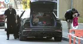 Galerie foto - poza 1