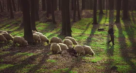 Galerie foto - poza 1