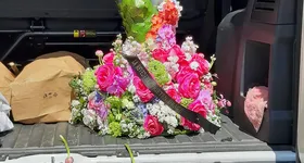 Galerie foto - poza 1