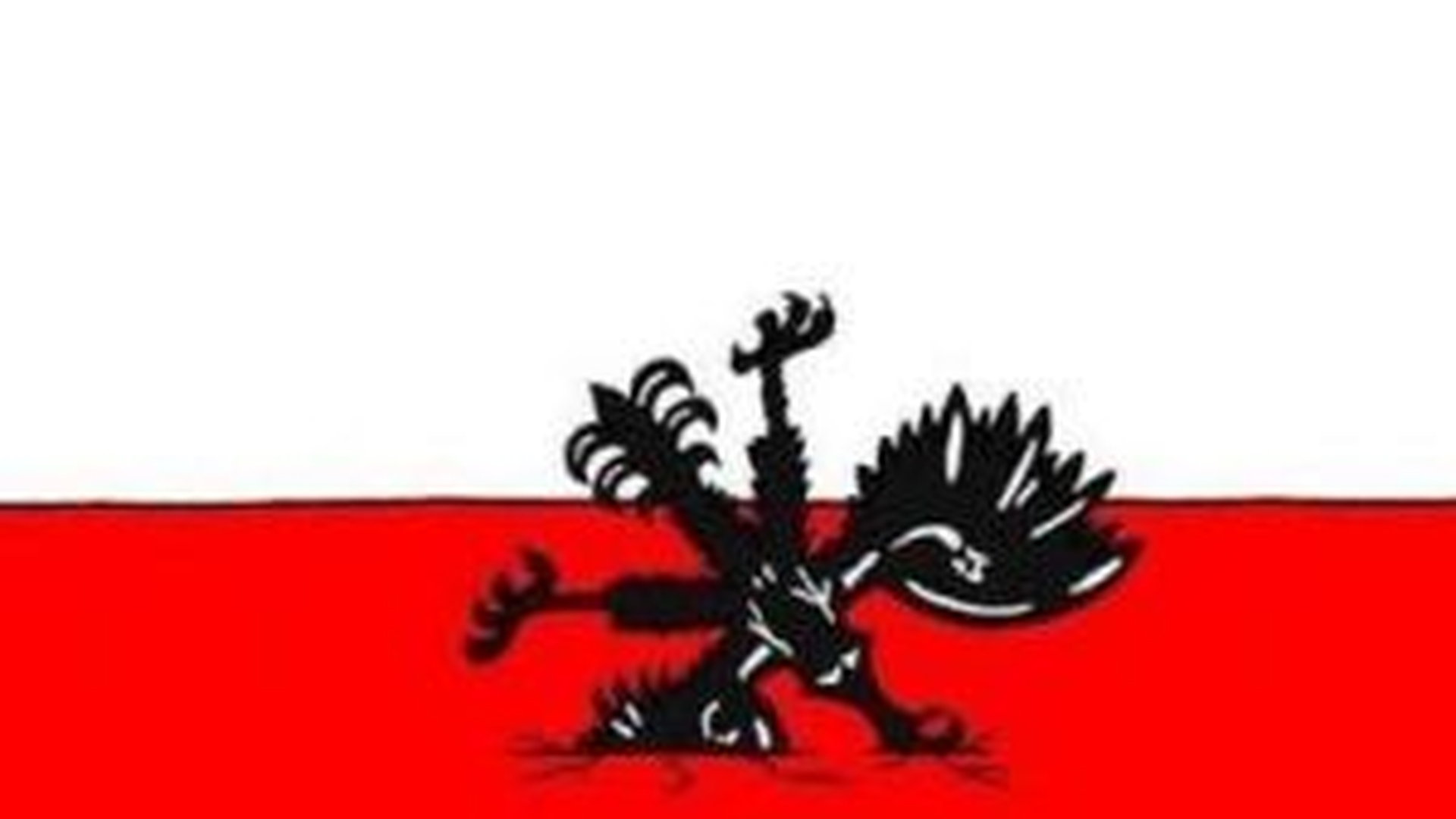 FOTO Tragedia aviatica de la Smolensk, parodiata de o publicatie olandeza