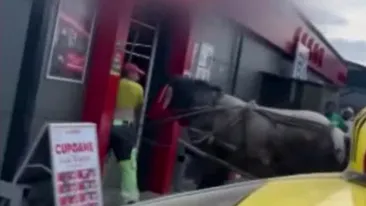Incident neașteptat într-un supermarket din Suceava. Un cal a intrat cu tot cu căruță pe ușa magazinului