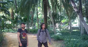 Galerie foto - poza 3