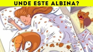 Iluzie optică virală | Găsiți albina ascunsă în acest dormitor. Geniile o văd în mai puțin de 5 secunde