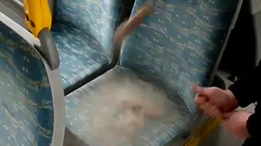 Video incredibil! Uite cat de jegoase sunt autobuzele din Bucuresti - Dupa ce vezi asta nu o sa te mai bati pe scaune cu pensionarele