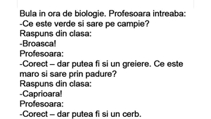 BANC | Bulă, la ora de biologie: "Ce este verde și sare pe câmpie?"