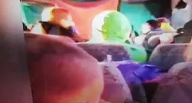 Galerie foto - poza 4