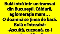 BANCUL ZILEI | Bulă intră într-un tramvai din București