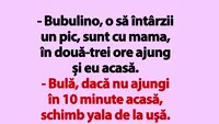 BANC | Bulă, dacă nu ajungi în 10 minute acasă, schimb yala de la uşă