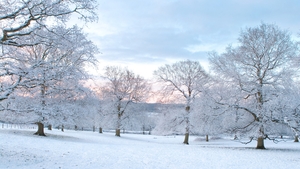 PROGNOZA METEO 5 DECEMBRIE: Vreme rece în toată ţara