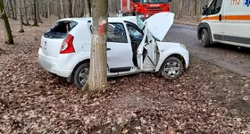 Galerie foto - poza 4