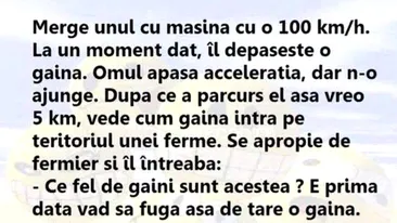 BANCUL ZILEI | Găina vitezistă