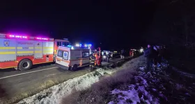 Galerie foto - poza 3