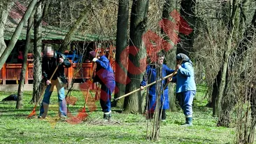 Ce au facut cand i-am ajutat la maturat?