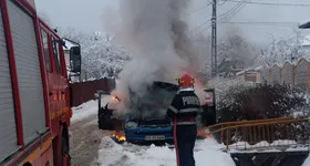 Galerie foto - poza 4