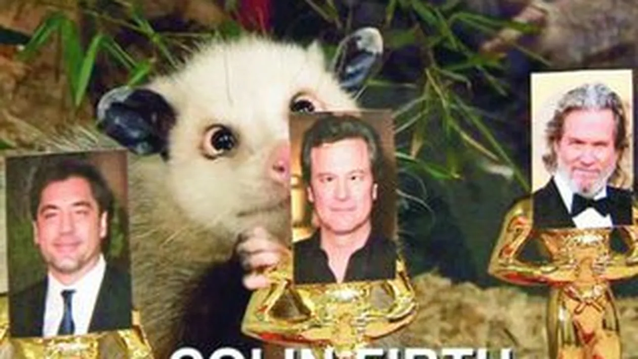 Un animal sasiu alege castigatorii la Oscar