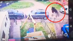 Nu i-a venit să creadă ce a văzut pe camerele de supraveghere! A chemat imediat preotul să îi sfințească locuința „A înspăimântat întreaga stradă”