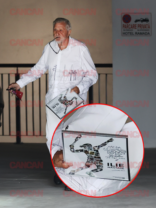 Ilie Năstase și-a luat tabloul și a plecat