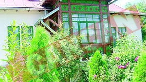 Terorizati de mama Zavorancei