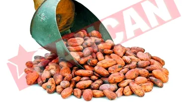 Boabele de cacao trateaza hipertensiunea arteriala