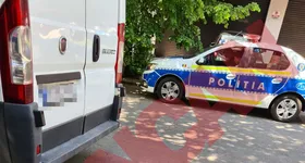 Galerie foto - poza 2