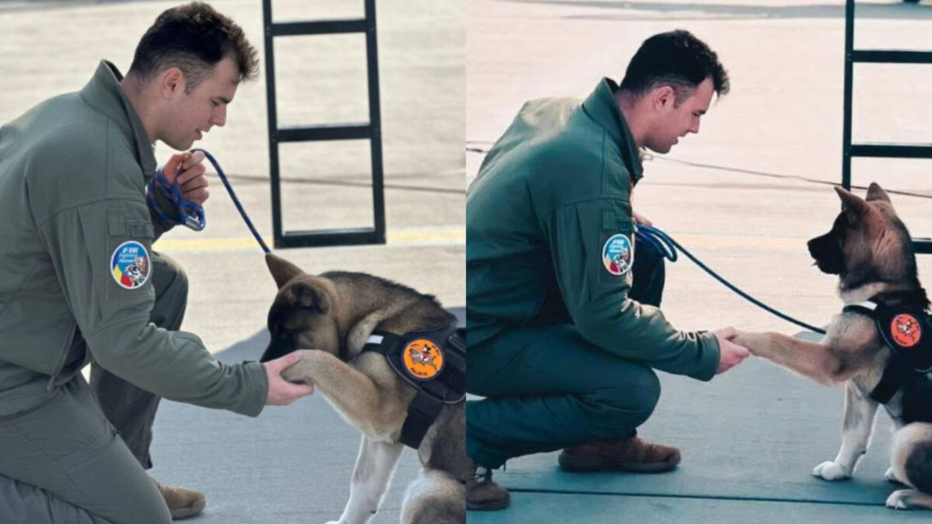 Ultimele clipe din viața lui Octavian Palferenț, pilotul militar care a murit încercând să salveze un câine. Mesajul transmis de nașul său