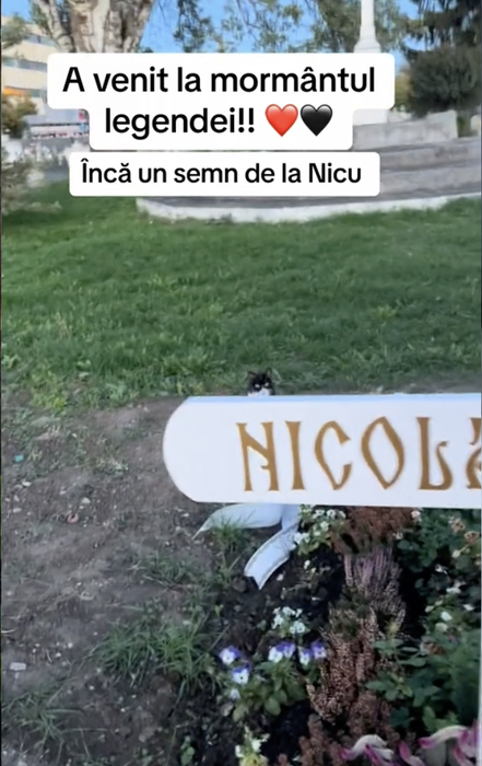Cum arată mormântul lui Nicu Covaci, la 2 luni de la moartea sa. Ce a apărut lângă cruce: „Tu, dar cum ai venit…”