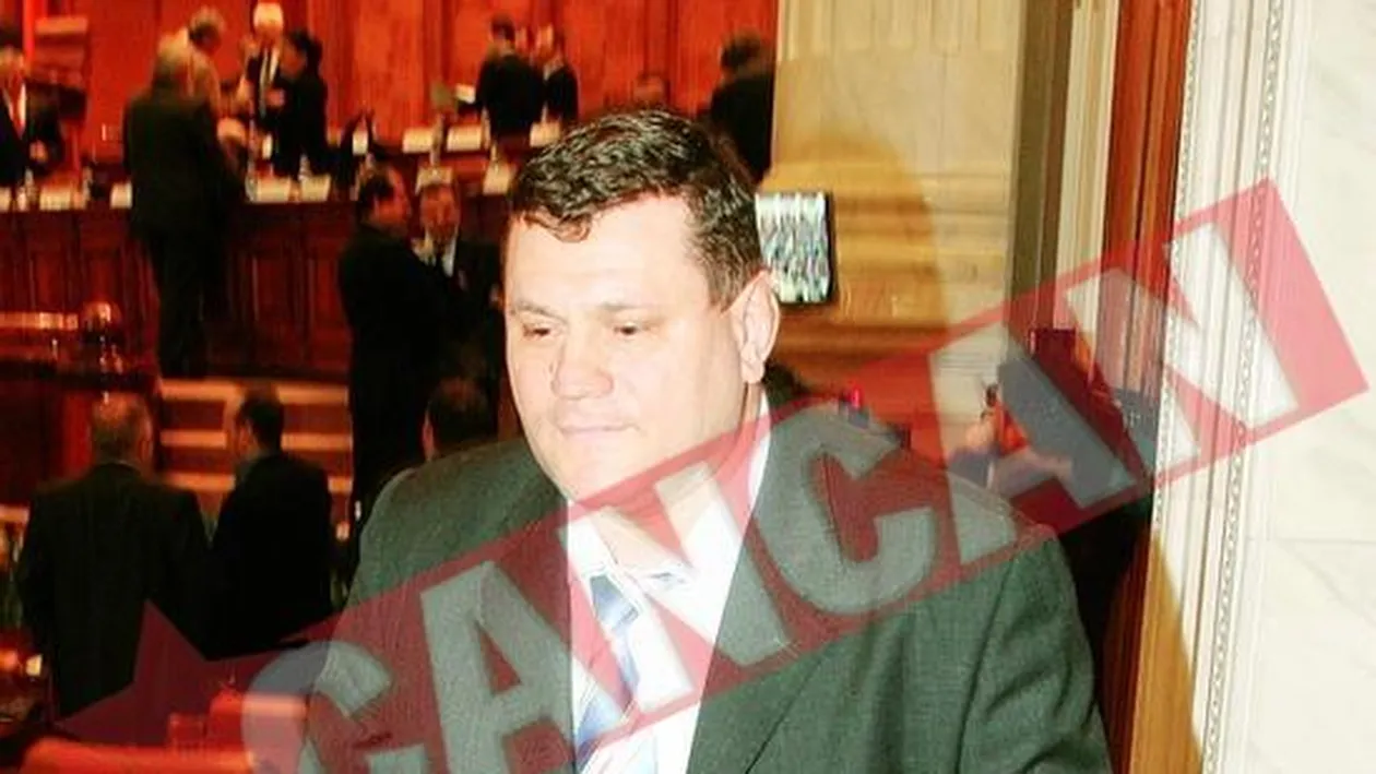 Poteras ii face curte Elenei Udrea pe un site de matrimoniale