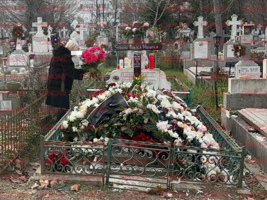 Gestul nepoatei Rodicăi Stănoiu