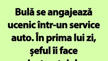 BANC | Bulă se angajează ucenic într-un service auto