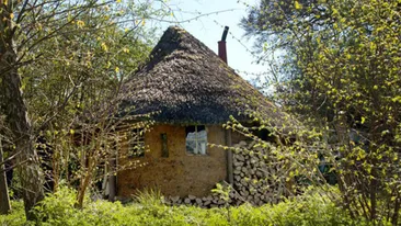 Vezi cum arata cea mai ieftina casa din lume. Nu o sa-ti vina sa crezi cat costa si cum arata!
