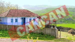 Si-a taiat nevasta cu lama si apoi a cusut-o cu ata