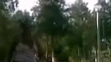 Doamnele astea doua au dus injuraturile la un alt nivel! Nu folosesc cuvinte obscene dar se jignesc in ultimul hal: Fai canceroaso, diabetico, smoala dreacu - Atentie, un altfel de limbaj licentios