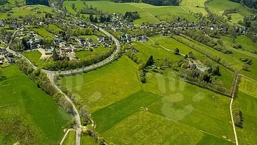 Locul de vis din România pe care trebuie să-l vizitezi: Poiana Narciselor